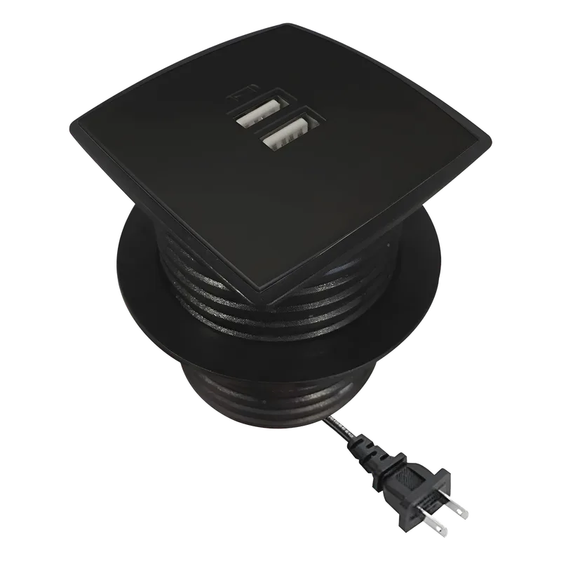Caja Cuadrada Multy USB con 2 Puertos USB y Cable de Corriente Color Negro THORSMAN USB-MULTYB