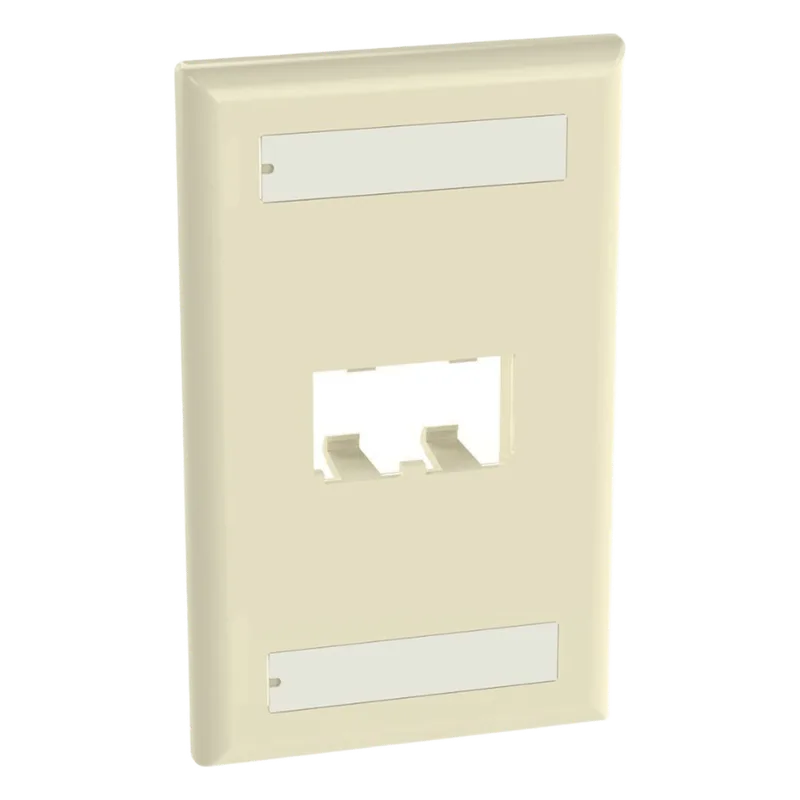 Placa de Pared Vertical Clásica, Salida Para 2 Puertos Mini-Com, Con Espacios Para Etiquetas, Color Marfil PANDUIT CFPL2EIY