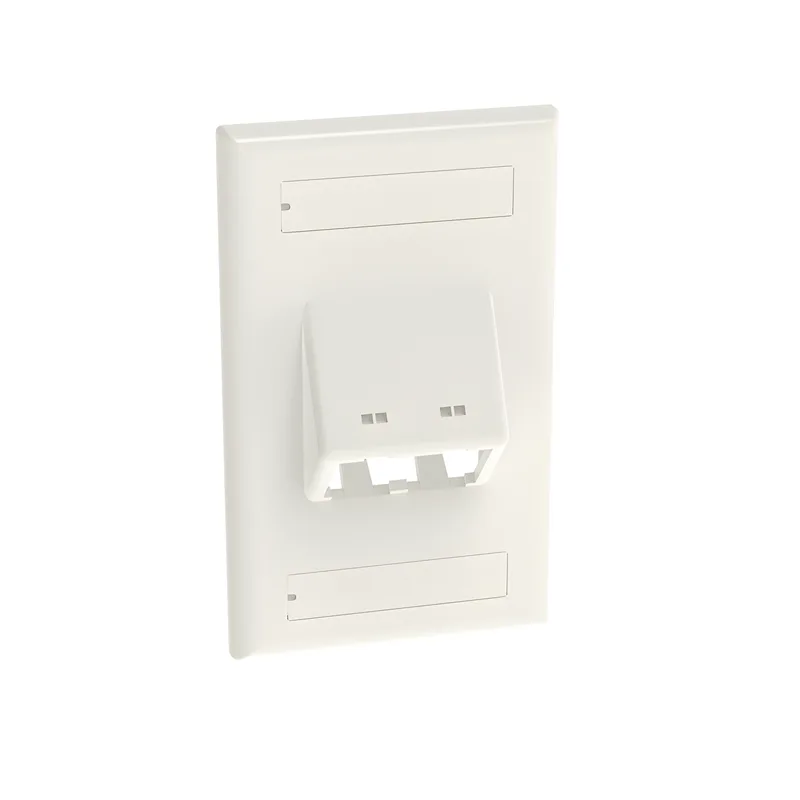 Placa de Pared Vertical Clásica, Salida Para 2 Puertos Mini-Com Inclinados, Con Espacios Para Etiquetas, Color Blanco PANDUIT CFPSL2WHY
