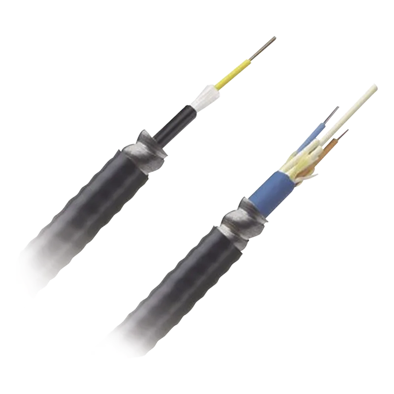 Cable de Fibra Óptica de 12 Hilos, Monomodo OS2, Interior/Exterior, Armada, Loose Tube 250um, OFCR (Riser), Precio Por Metro PANDUIT FSGR912Y