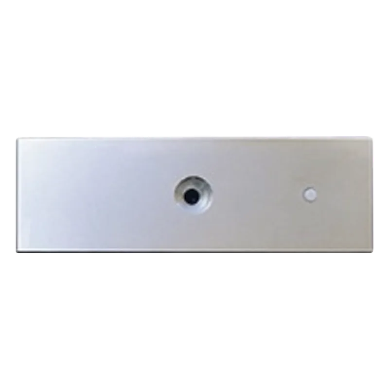 Refacción: Placa para chapa magnética MAG1200, MAG1200LED , No incluye tornilleria ACCESSPRO MAG1200PLATE