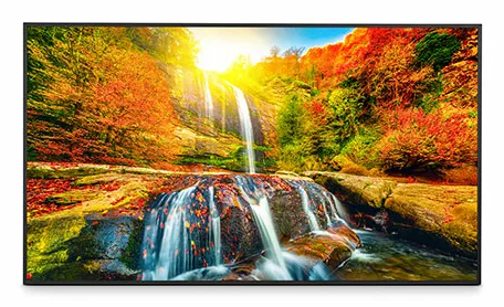 SHARP DISPLAY Monitor Profesional De 43 PN-ME432 UHD 3840 X 2160 18 LED — 7, 400 CD · M2