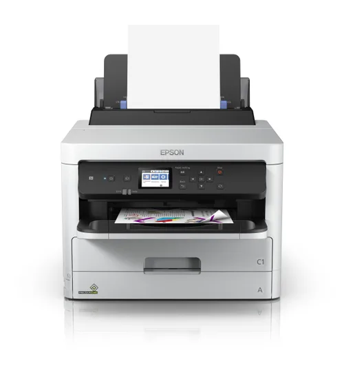 Consumible Cartucho EPSON Modelo T01D Negro, P