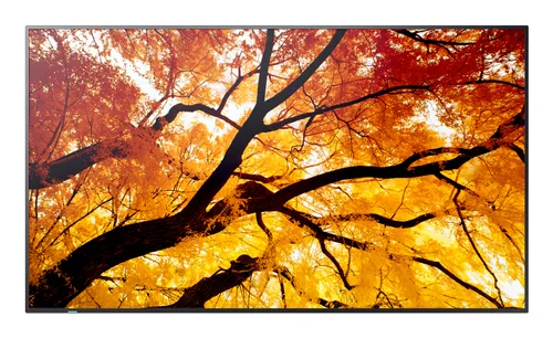 SHARP DISPLAY Monitor Profesional 75 PN-M752 UHD 3840 X 2160 24 LED — 7, 550 CD · M2,